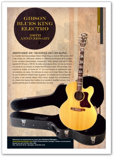 Magasin guitares Magasin guitares